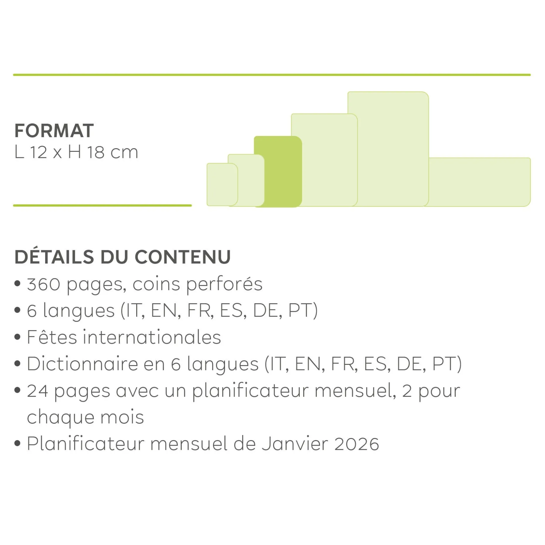 Agenda 12 Mois Journalier - Medium - 2025