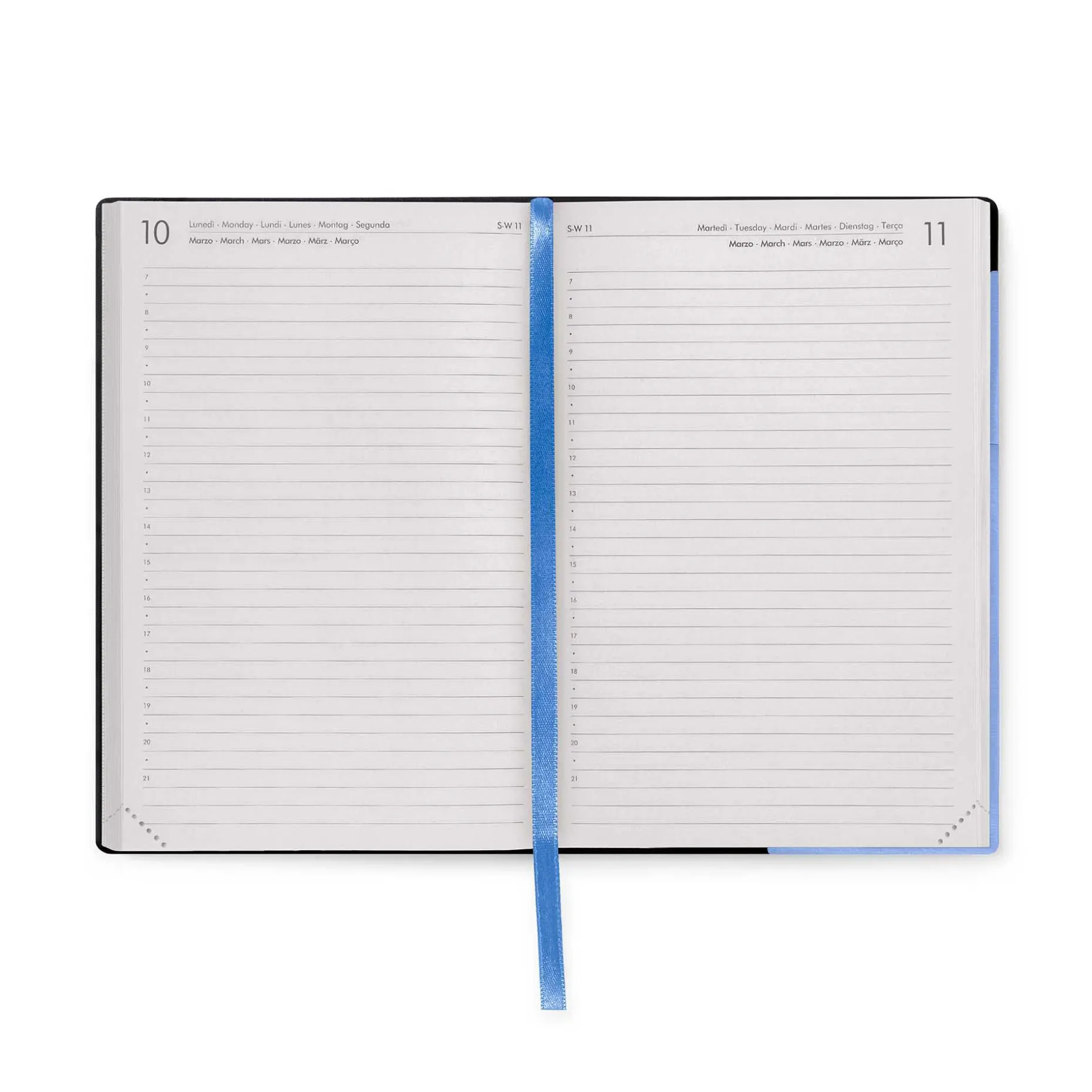 Agenda 12 Mois Journalier - Medium - 2025