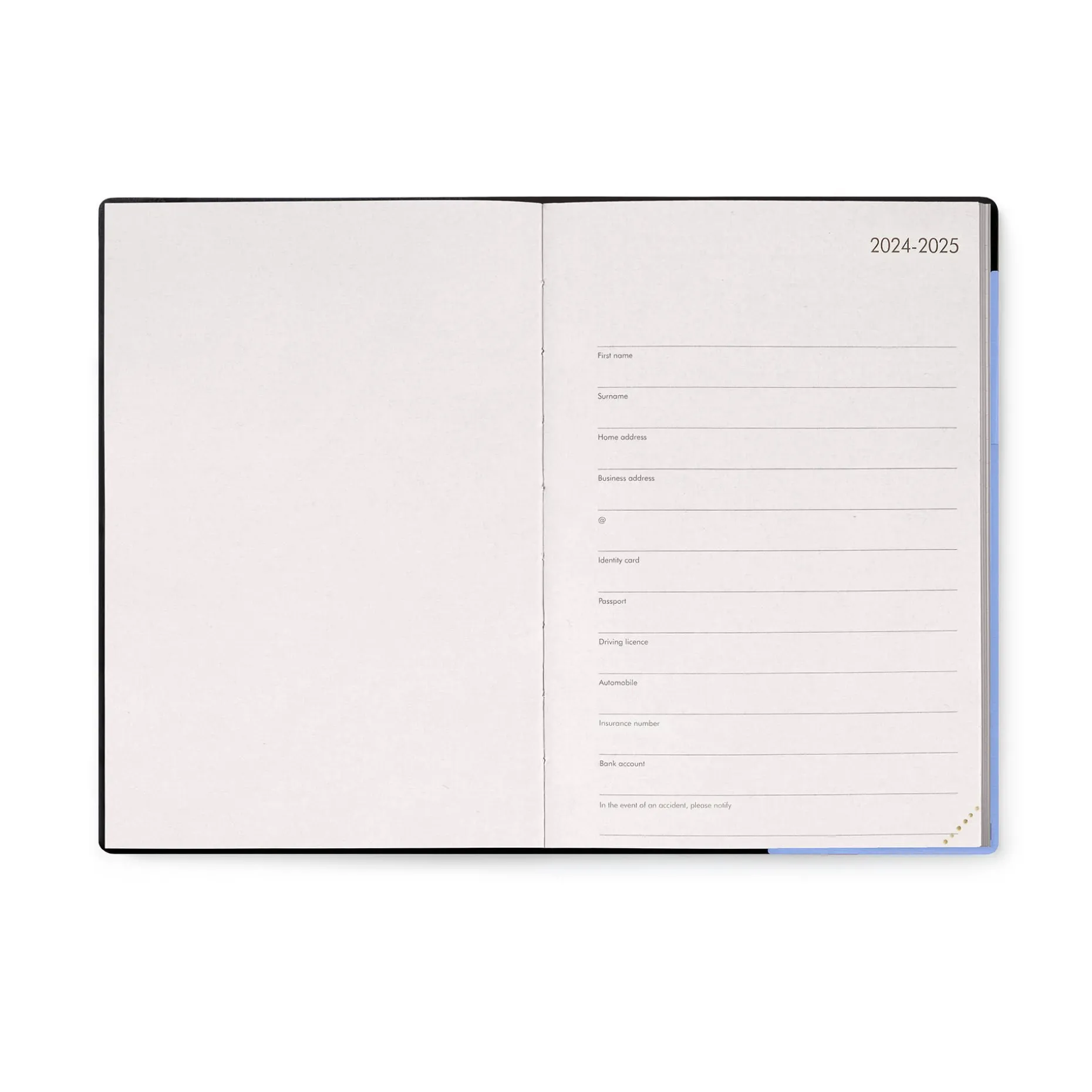 Agenda 12 Mois Journalier - Medium - 2025