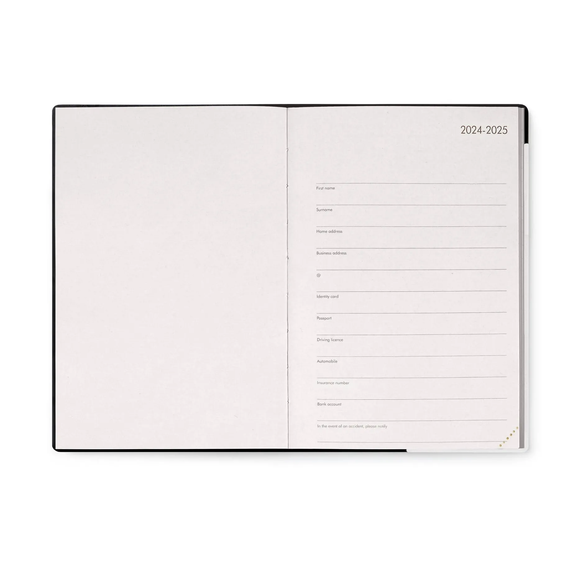 Agenda 12 Mois Journalier - Medium - 2025