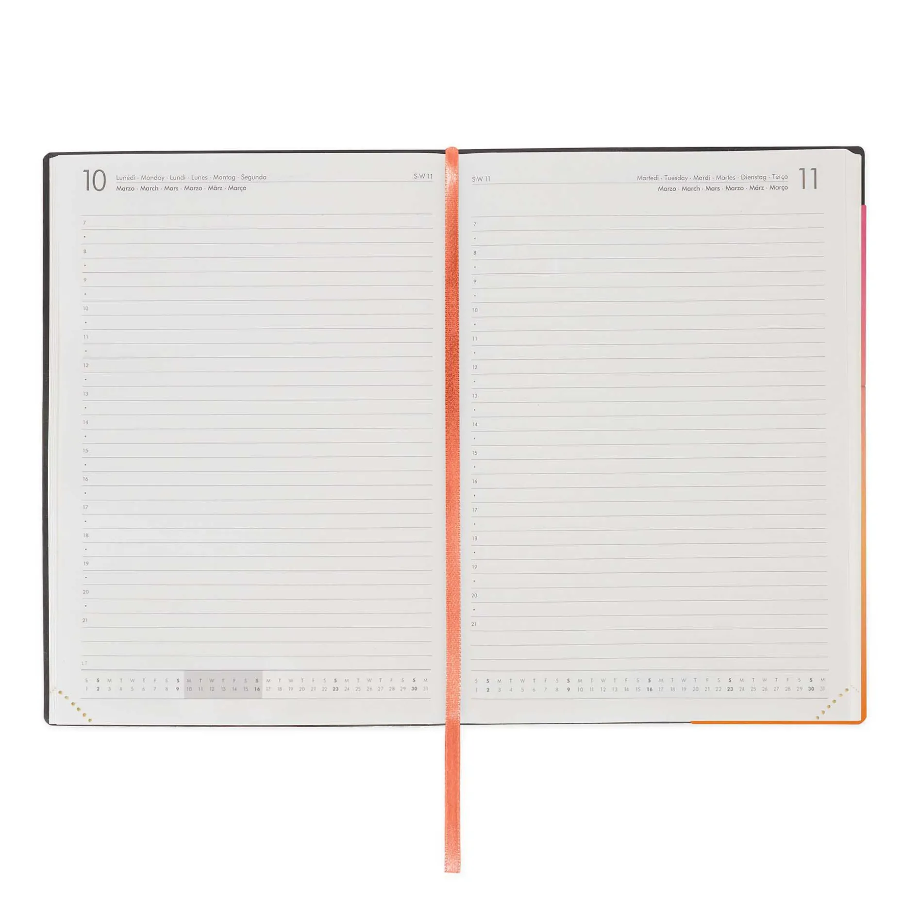 Agenda 12 Mois Journalier - Large - 2025