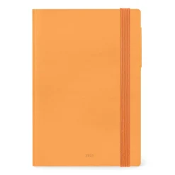 Agenda 12 Mois Journalier - Large - 2025