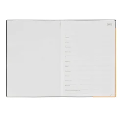 Agenda 12 Mois Journalier - Large - 2025