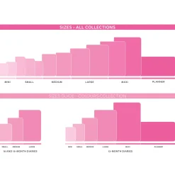 Agenda 12 Mois Journalier - Large - 2025