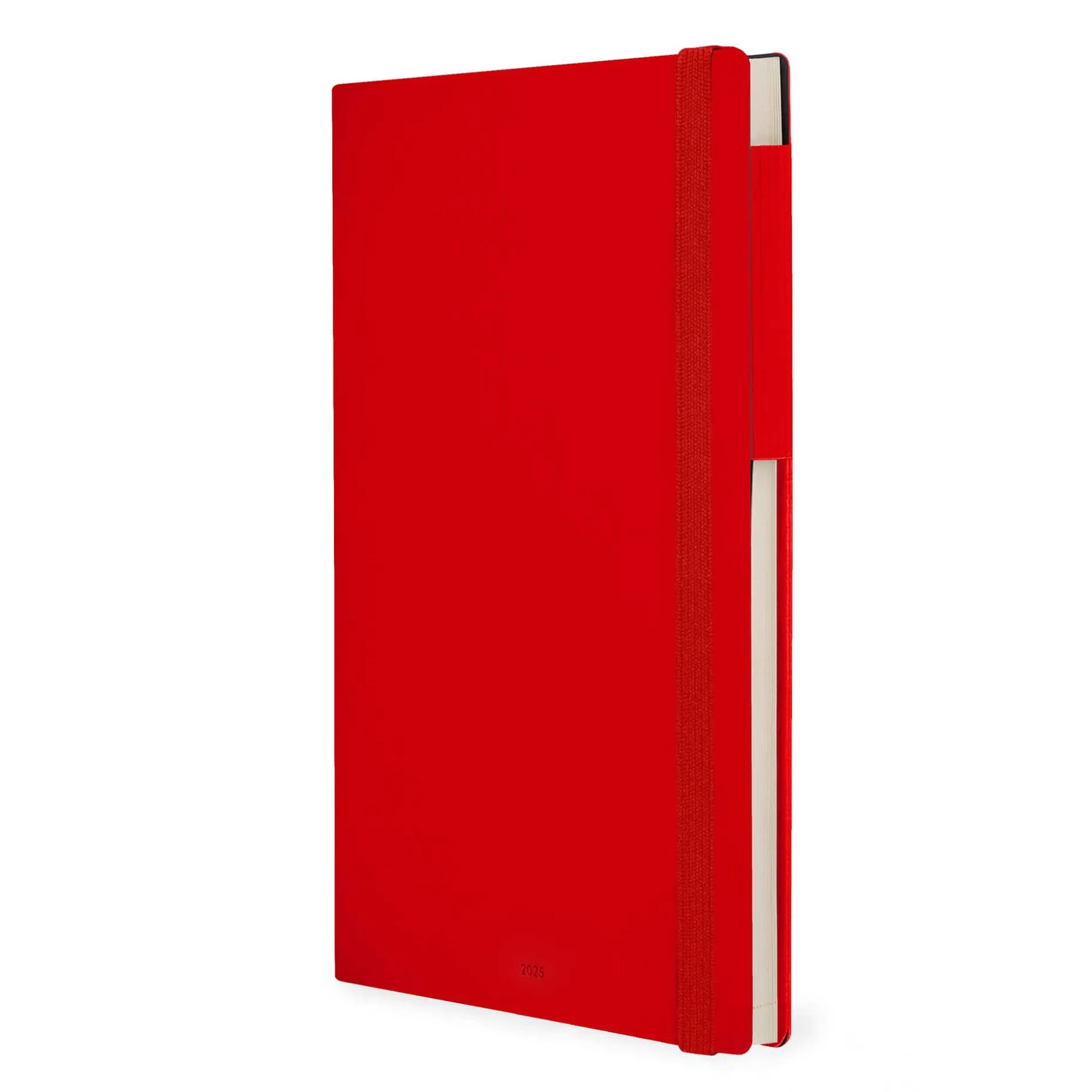Agenda 12 Mois Journalier - Large - 2025