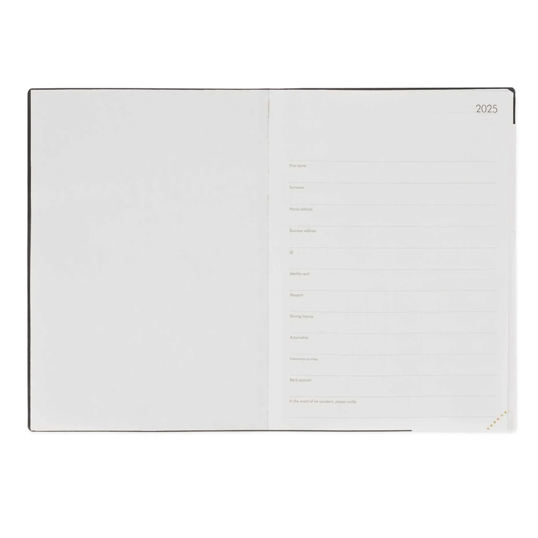 Agenda 12 Mois Journalier - Large - 2025