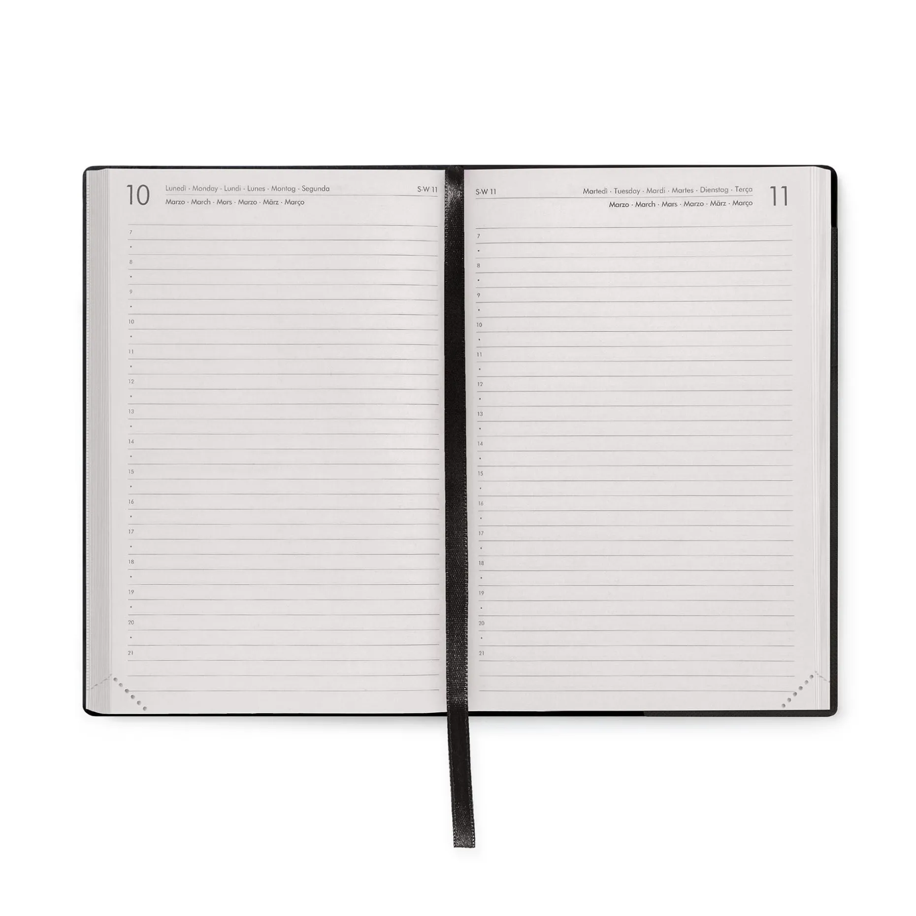 Agenda 16 Mois Journalier - Medium - 2024/2025