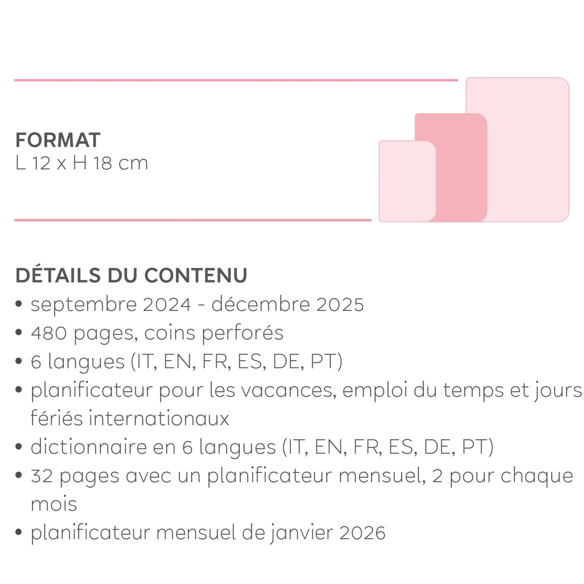 Agenda 16 Mois Journalier - Medium - 2024/2025