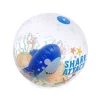 Ballon de Plage Gonflable - Beach Ball