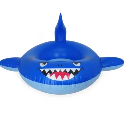 Bouée Gonflable Pour Piscine - Pool Ring