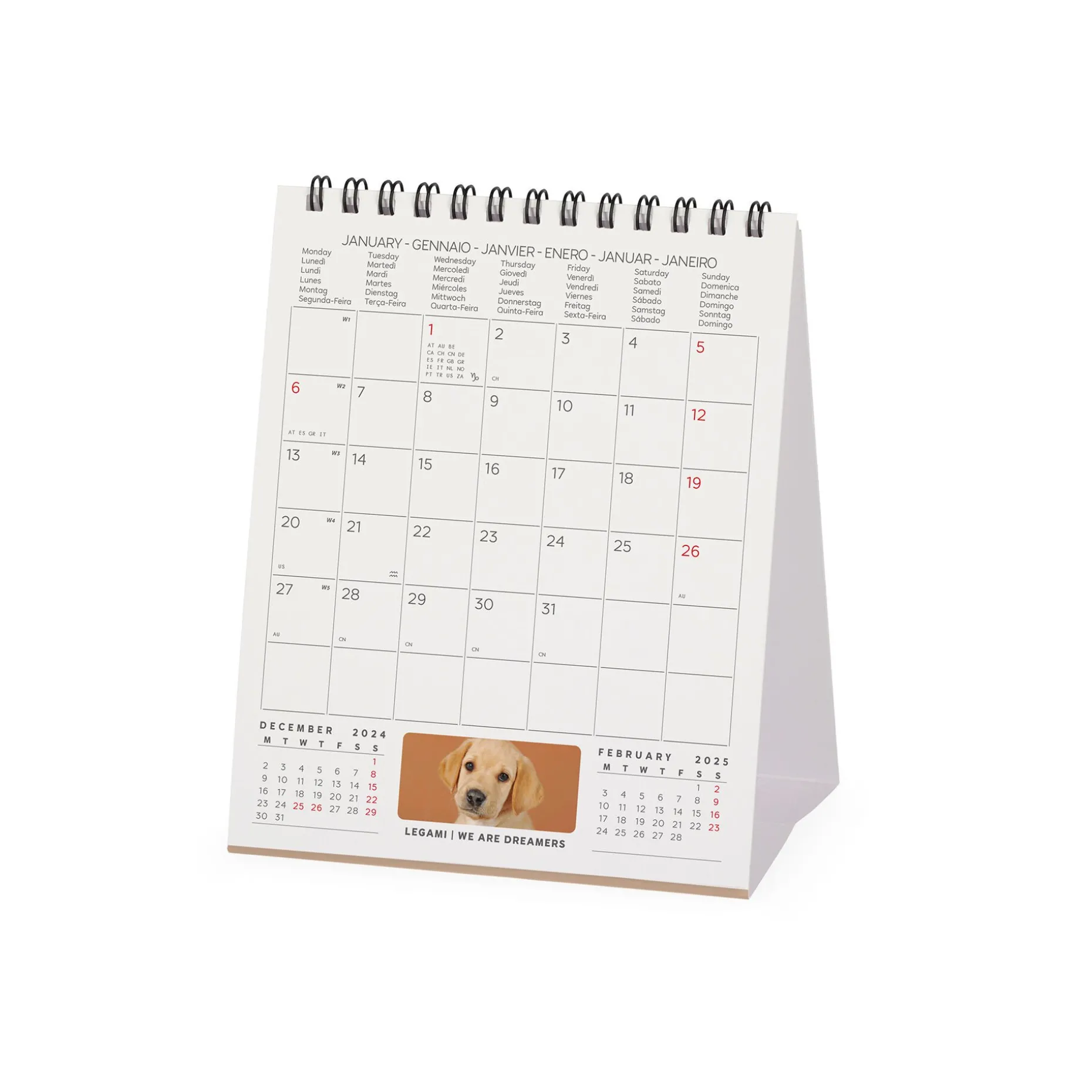Calendrier de Table 2025 - 12 x 14,5 cm