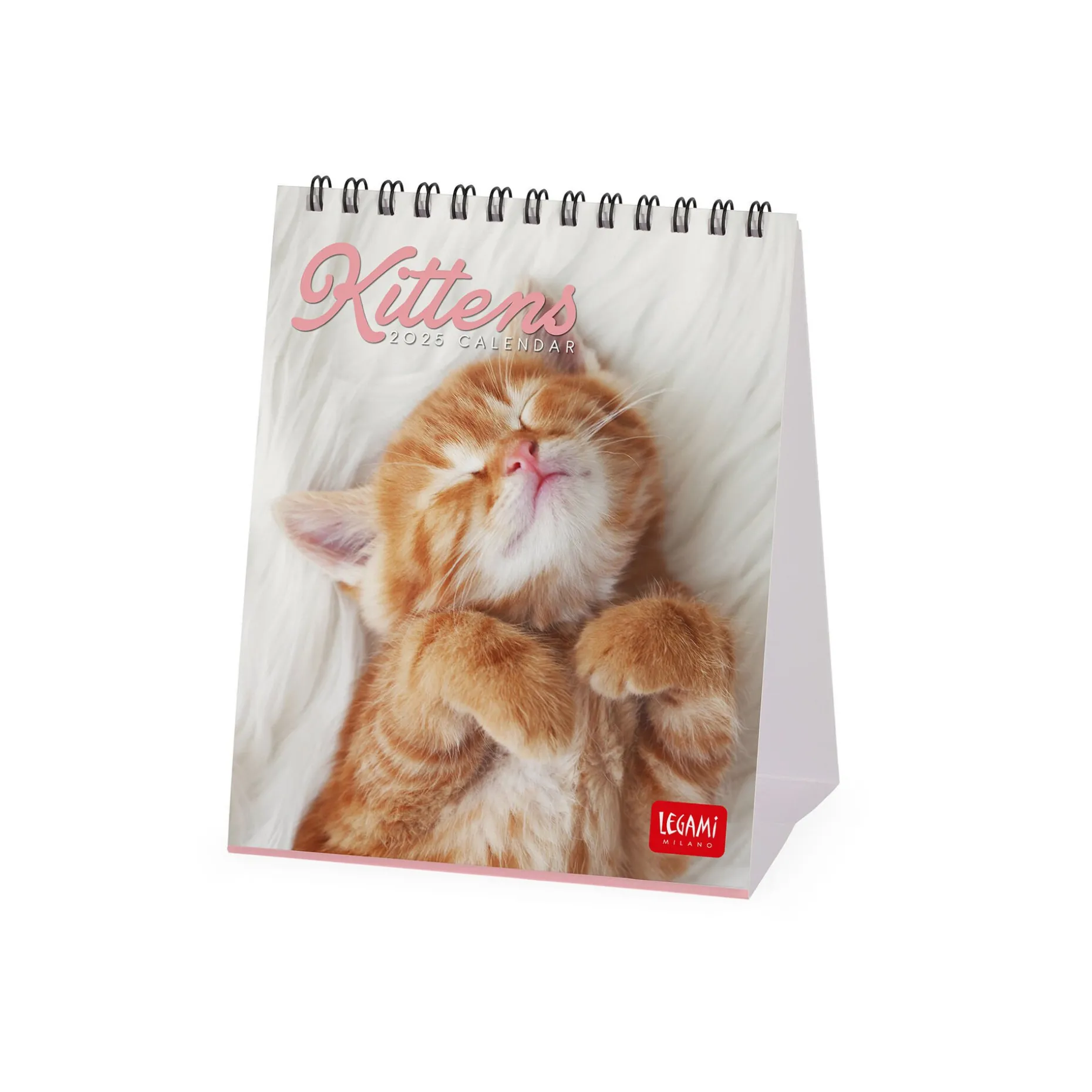 Calendrier de Table 2025 - 12 x 14,5 cm