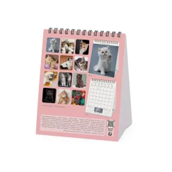 Calendrier de Table 2025 - 12 x 14,5 cm