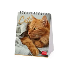 Calendrier de Table 2025 - 12 x 14,5 cm