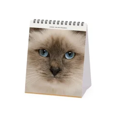 Calendrier de Table 2025 - 12 x 14,5 cm