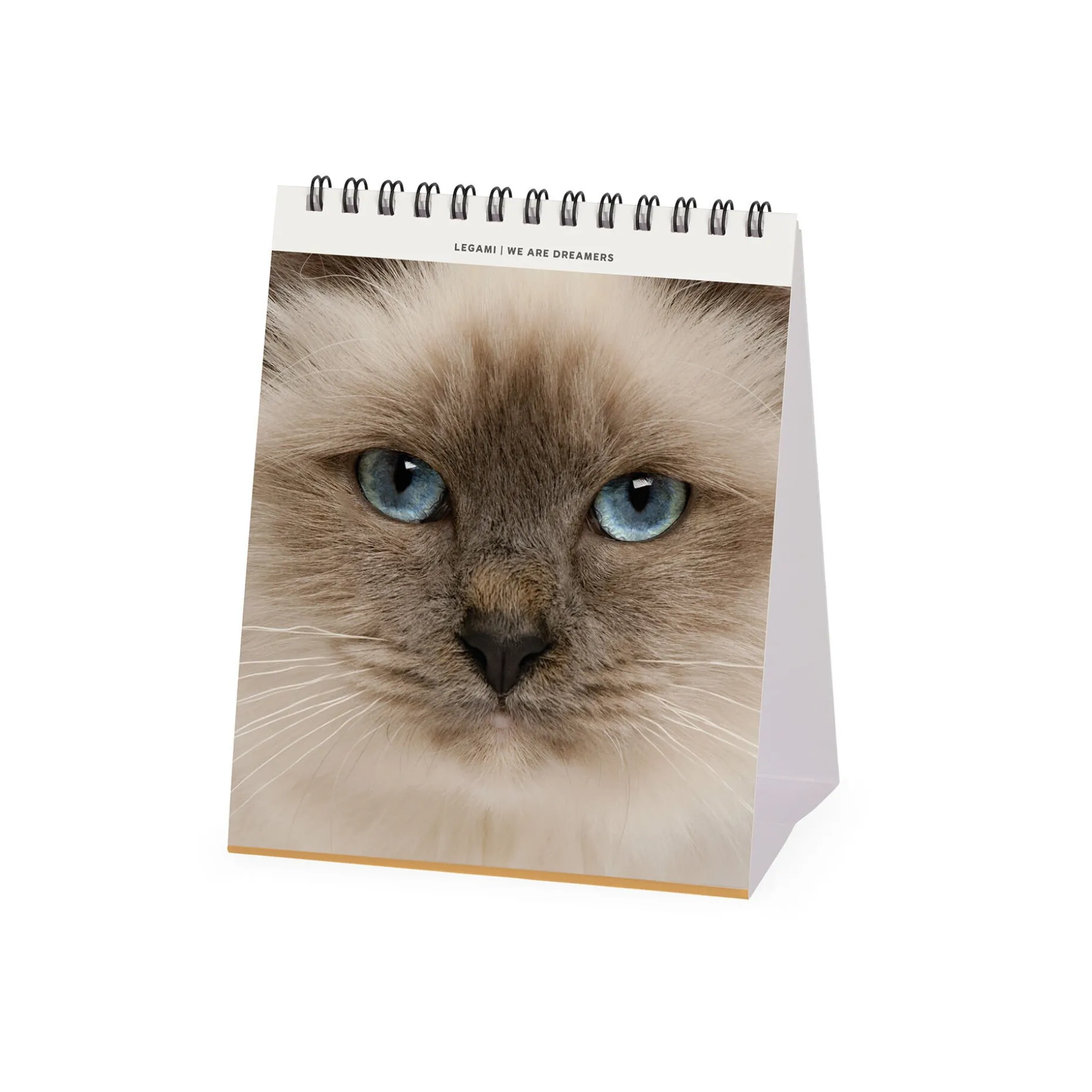 Calendrier de Table 2025 - 12 x 14,5 cm