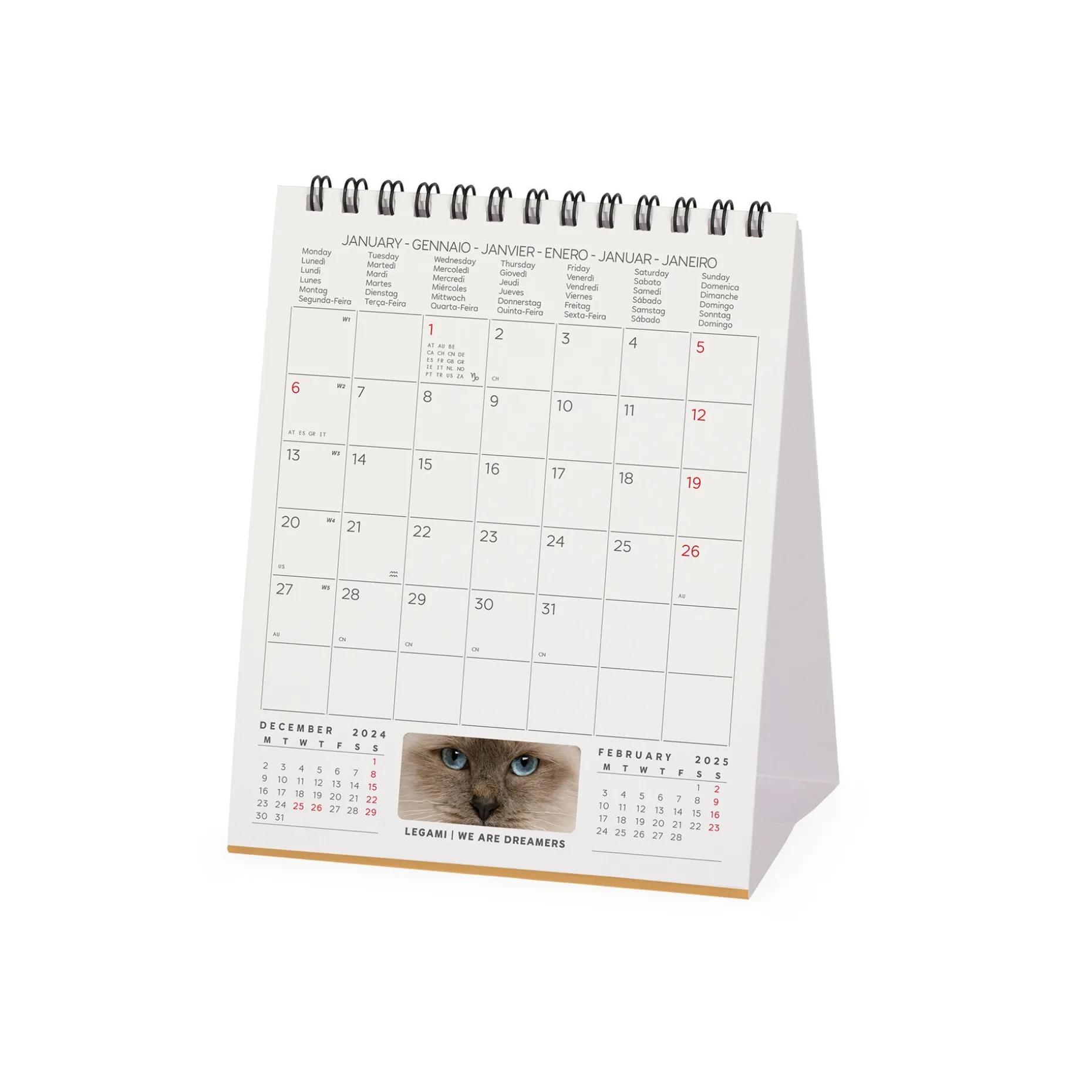 Calendrier de Table 2025 - 12 x 14,5 cm
