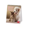 Calendrier de Table 2025 - 12 x 14,5 cm
