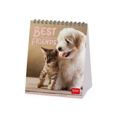 Calendrier de Table 2025 - 12 x 14,5 cm