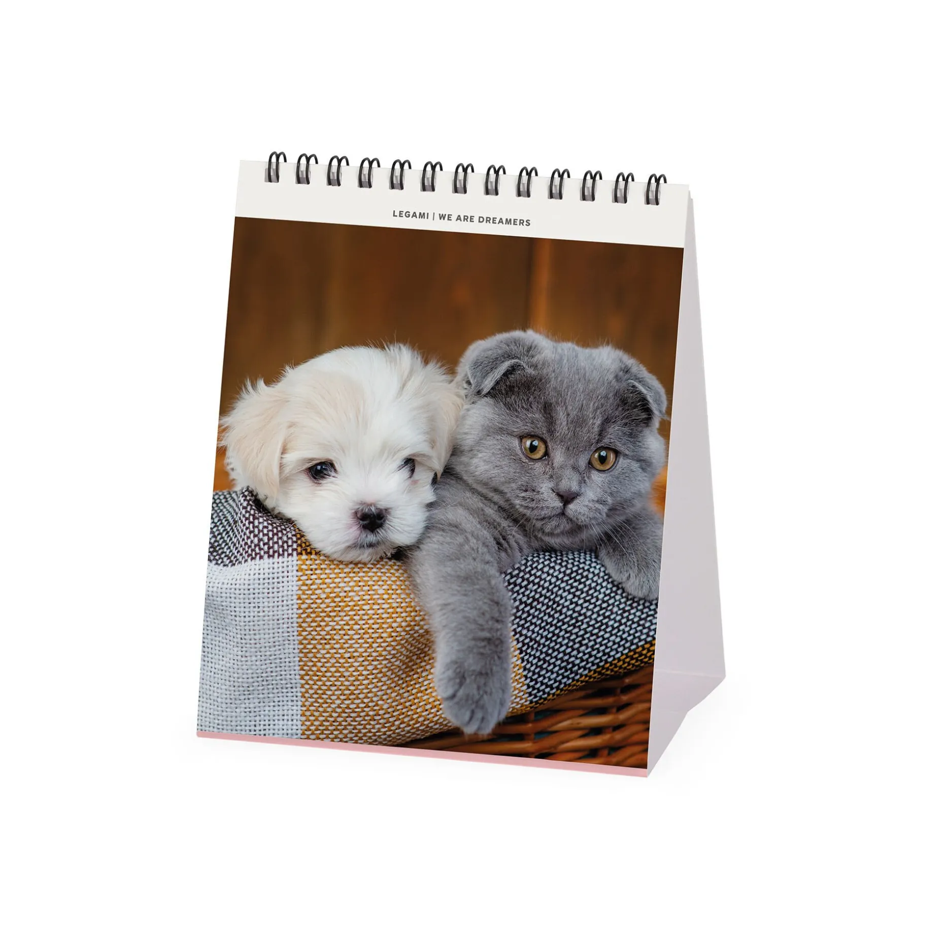 Calendrier de Table 2025 - 12 x 14,5 cm