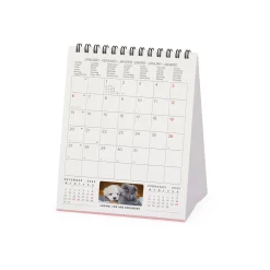 Calendrier de Table 2025 - 12 x 14,5 cm