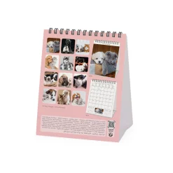 Calendrier de Table 2025 - 12 x 14,5 cm
