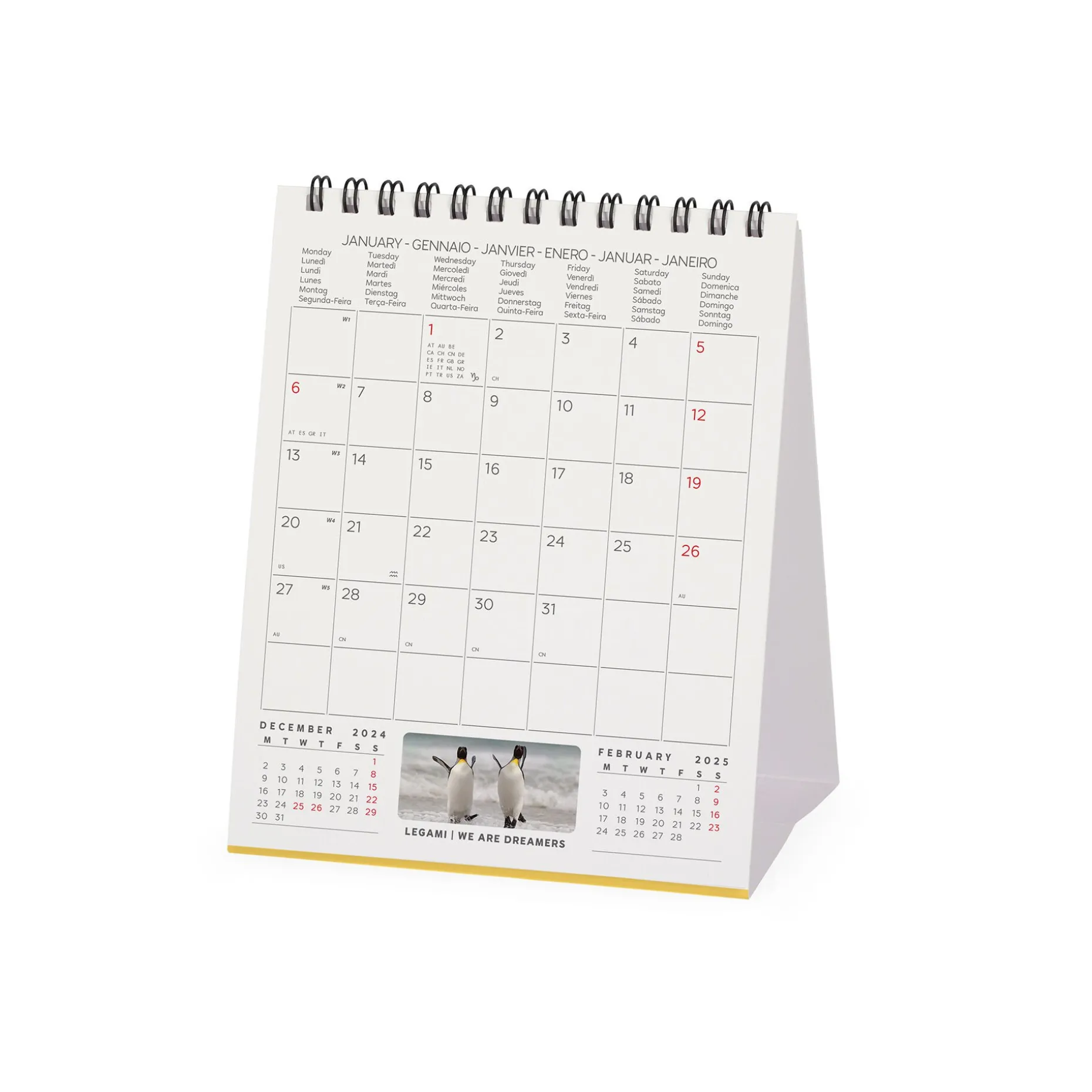 Calendrier de Table 2025 - 12 x 14,5 cm