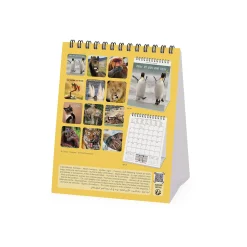 Calendrier de Table 2025 - 12 x 14,5 cm