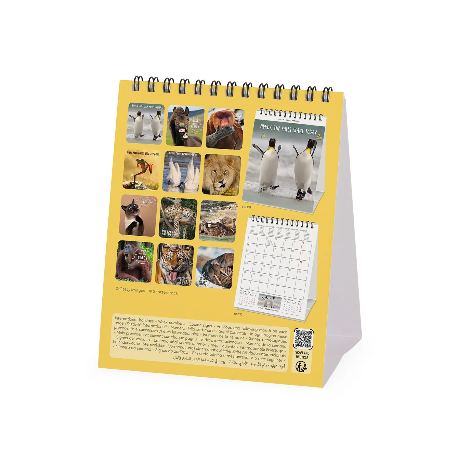 Calendrier de Table 2025 - 12 x 14,5 cm
