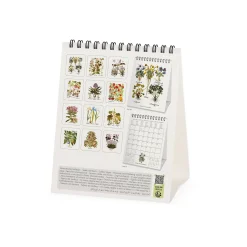 Calendrier de Table 2025 - 12 x 14,5 cm