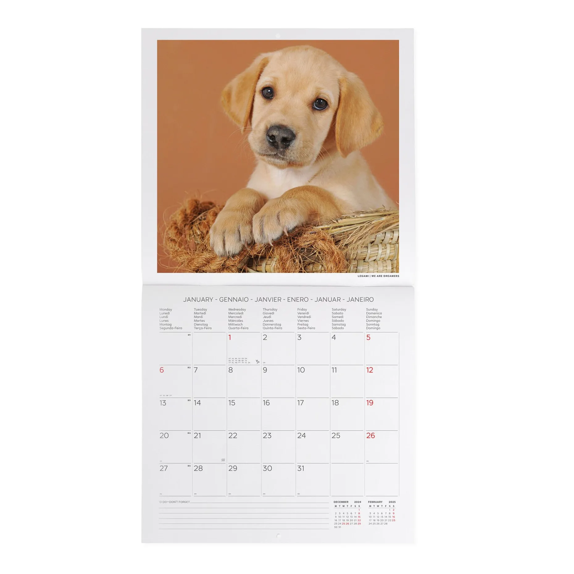 Calendrier Mural 2025 - 30 x 29 cm