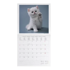 Calendrier Mural 2025 - 30 x 29 cm