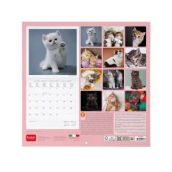 Calendrier Mural 2025 - 30 x 29 cm