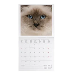Calendrier Mural 2025 - 30 x 29 cm