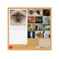 Calendrier Mural 2025 - 30 x 29 cm