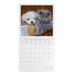 Calendrier Mural 2025 - 30 x 29 cm