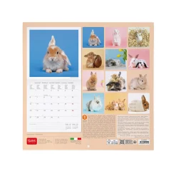 Calendrier Mural 2025 - 30 x 29 cm