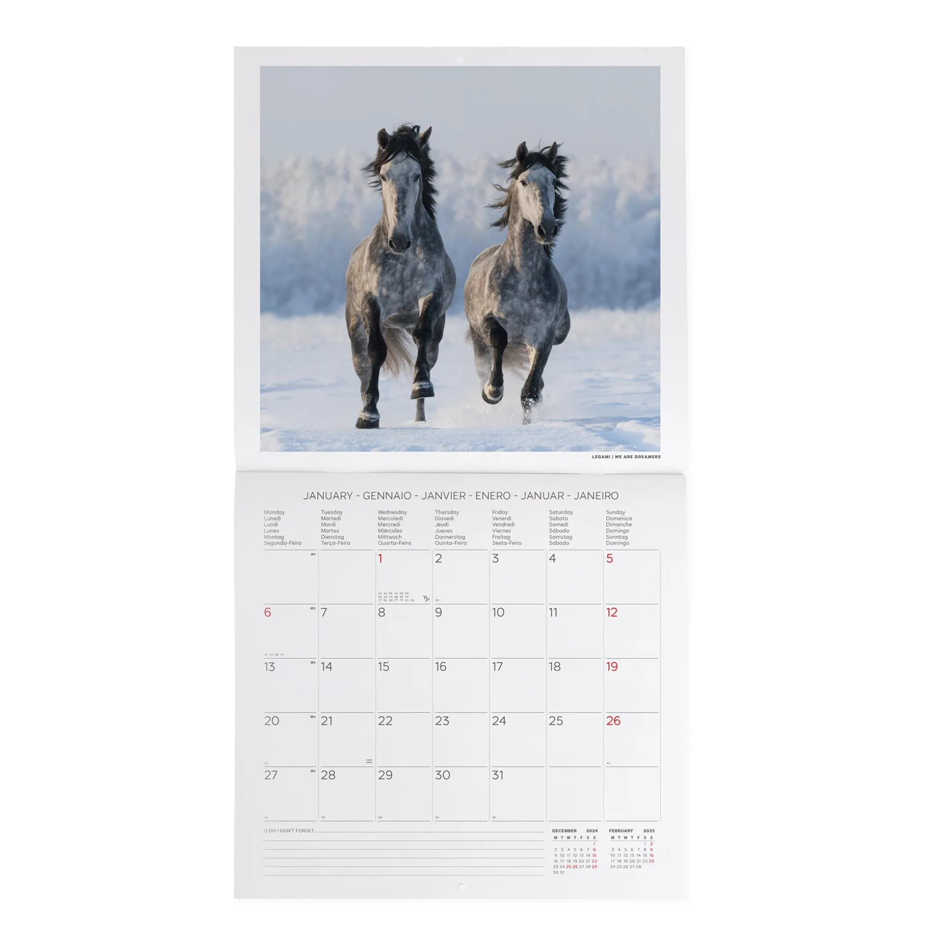 Calendrier Mural 2025 - 30 x 29 cm