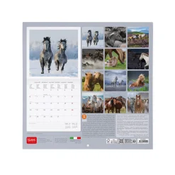 Calendrier Mural 2025 - 30 x 29 cm
