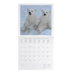 Calendrier Mural 2025 - 30 x 29 cm