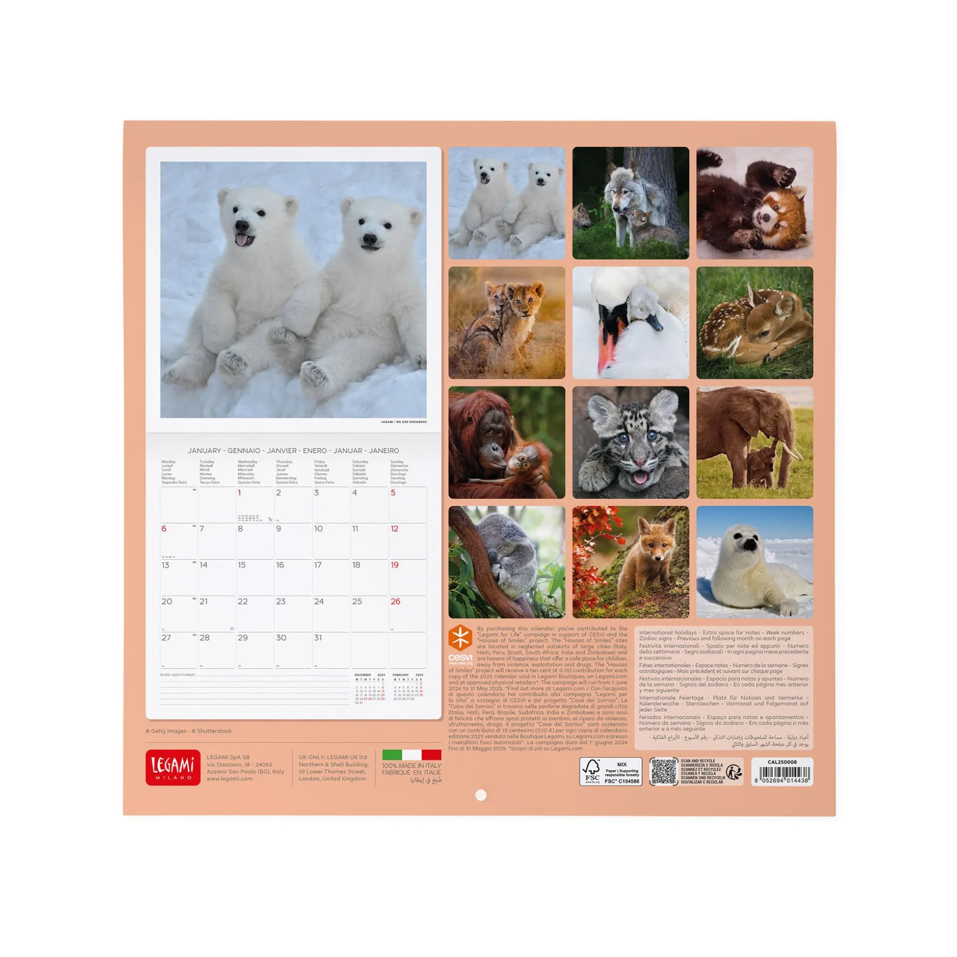 Calendrier Mural 2025 - 30 x 29 cm