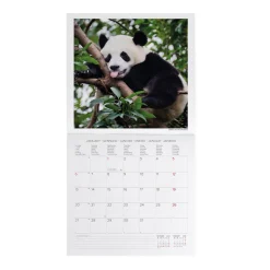 Calendrier Mural 2025 - 30 x 29 cm