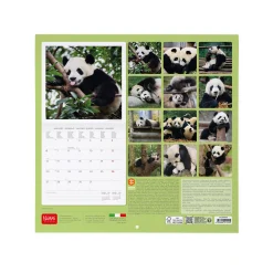Calendrier Mural 2025 - 30 x 29 cm