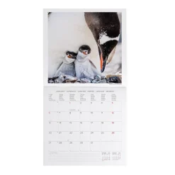 Calendrier Mural 2025 - 30 x 29 cm