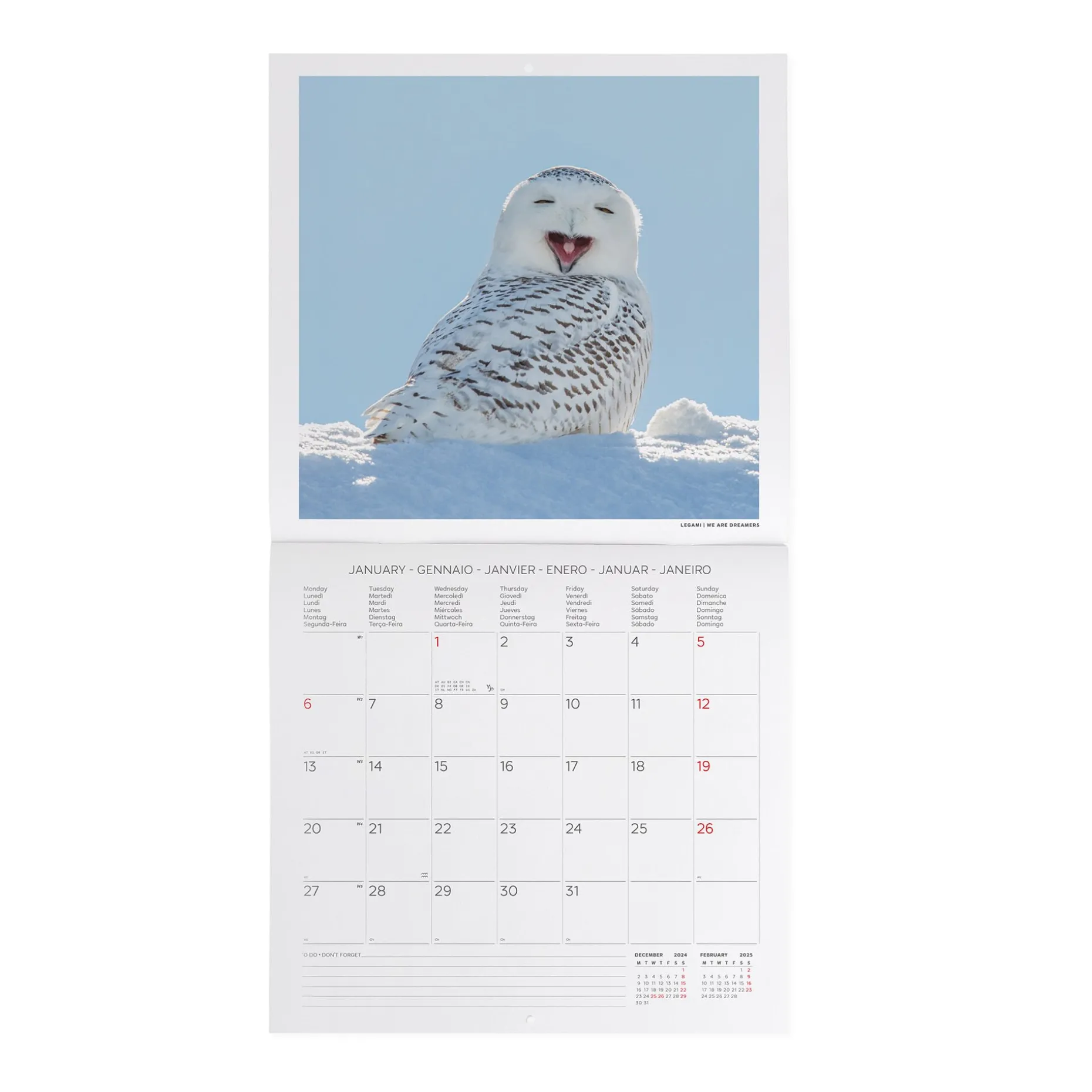 Calendrier Mural 2025 - 30 x 29 cm