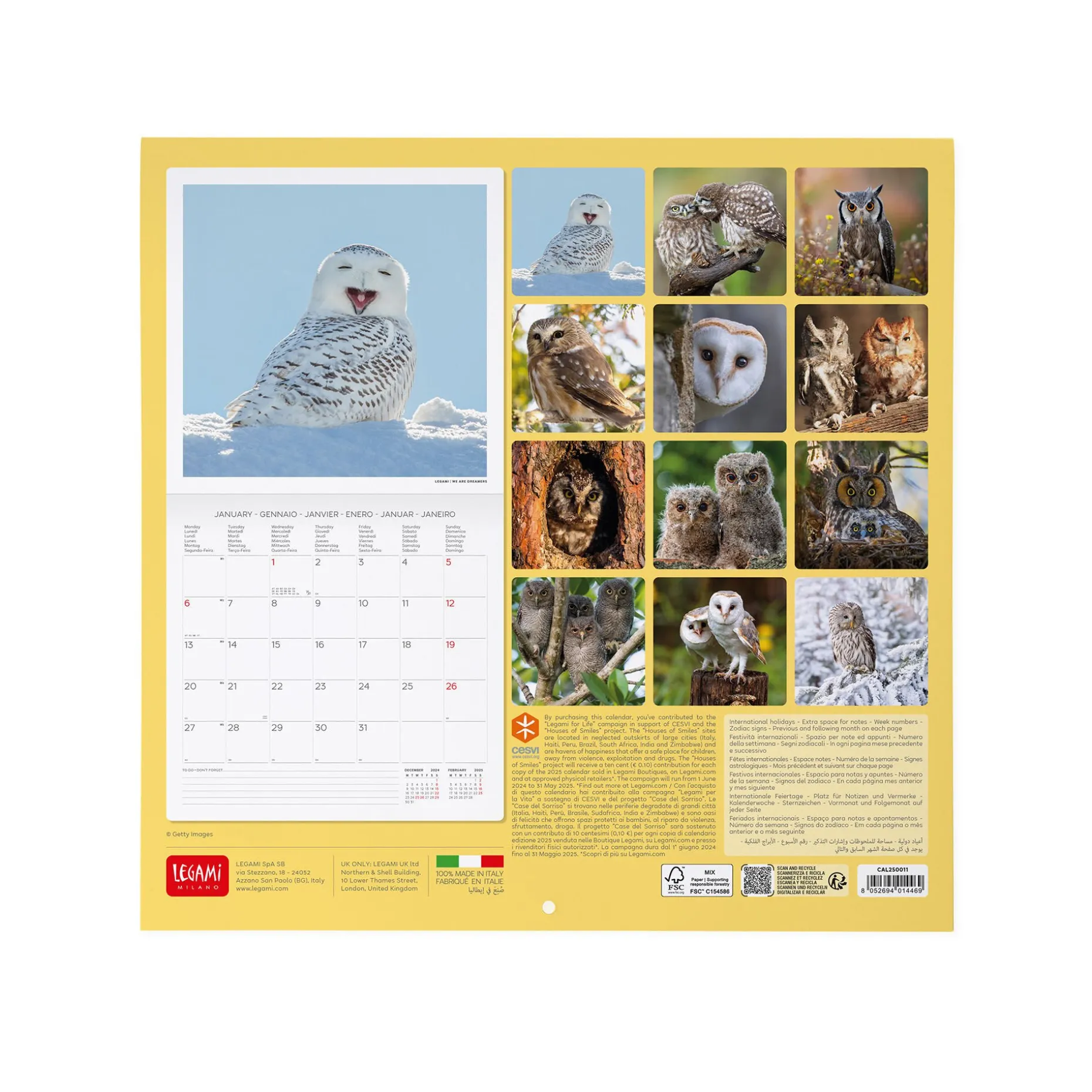 Calendrier Mural 2025 - 30 x 29 cm