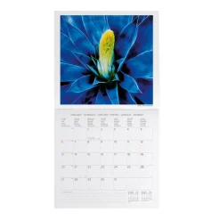 Calendrier Mural 2025 - 30 x 29 cm