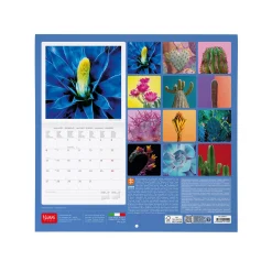 Calendrier Mural 2025 - 30 x 29 cm