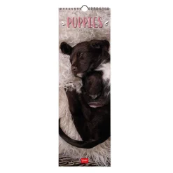Calendrier Mural 2025 - 16 x 49 cm
