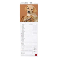 Calendrier Mural 2025 - 16 x 49 cm